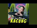 Download Lagu Kacung