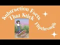Subtraction Facts That Stick Flip Through Homeschool Math Curriculum Overview