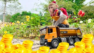 Download Monkey Baby Bim Bim funniest animals Crocodile so funny MP3