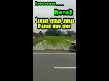 Download Lagu MENIKMATI PEMANDANGAN SAWAH YANG LUAS DI DESAKU... SAWAHE JEMBAR-JEMBAR, PARINE LEMU-LEMU