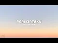 Download Lagu Peri Cintaku - Ziva Magnolya || tiktok sound remix (lyrics)