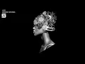 Download Lagu Noir - Damage Control (Original Mix) - Noir Music