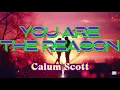 Download Lagu YOU ARE THE REASON || CALUM SCOTT || COVERED BY ALICIA ALI  #coversong #entertainment 
