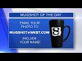 Mug Shot of the Day - Josh from Winona