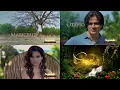 Download Lagu Coração Indomável l 1º Teaser da terceira reprise (22/09/2025)