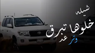 اقوي شيله حماسيه خلوها تبرق وترعد نفعل فعل ما نهدد شيله ادا محمد الشيخ 2025 