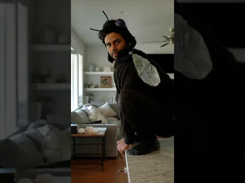 The Fly #comedy #fly