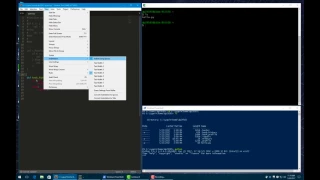 Set up Sublime text for Python and run function from a Python script