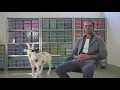 Video di Riccardo Zangelmi - My Art