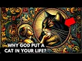 Download Lagu Mengapa Tuhan Menempatkan Kucing dalam Hidupmu? Spiritualitas Kucing