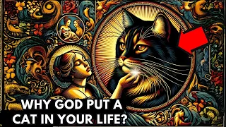 Why Did God Put a CAT In Your Life? The Spirituality of Cats