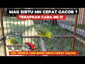 Download Lagu CUMA SEPELE TAPI BIKIN SIRTU MH CEPAT GACOR❗BANYAK YANG TIDAK SADAR❗