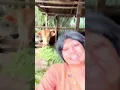 Download Lagu Cantik cantik Mak beti jadi simpenan slebeeew