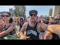 SUNSET TONIGHT-JORDAN T.-ISLAND VIBE MUSIC FESTIVAL-SAN DIEGO-CALIFORNIA-AUGUST-10-2024.🔈🔉🔊🎵🎶♥️💛💚😁🤙