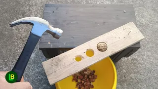 The Easiest Way to Crack Walnuts & Hazelnuts – DIY Nut Cracker!