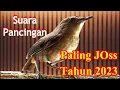 Download Lagu Suara Pancingan jongkangan terbaru 2023