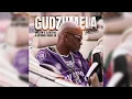 Gudzumela - Optimist Music ZA X Mellow & Sleazy012