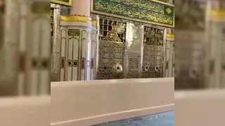 بالله يازوار قبر محمد بلغنوا عني السلام صلى الله عليه وسلم دندنها