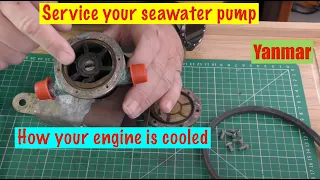 Service your Sea Water / Raw Water Pump.  How it’s cooled. Part 2 Yanmar Sailboat Engine.