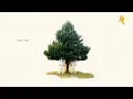 Tosca - Dehli9 (2003) 2xCD | Downtempo, Trip-Hop & Dub