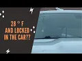 Menards Employee Keeps Two Freezing Dogs Locked in Cars