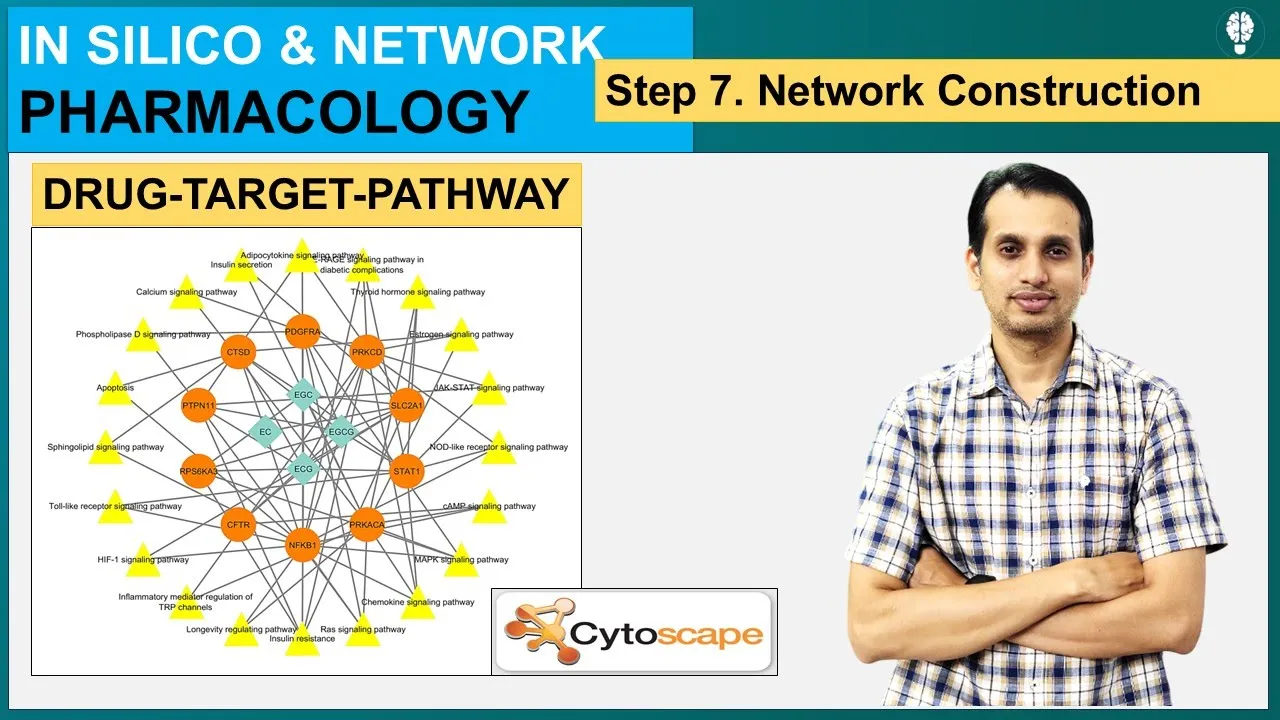 Network Pharmacology (Part 8) | Drug Target Pathway network | Cystoscape tutorial