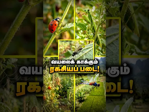 உங்க வயலைக் காக்கும் ரகசியப் படை!
