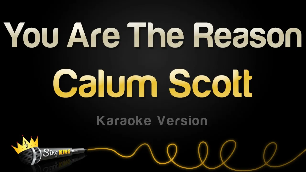 Calum Scott - You Are The Reason (Karaoke Version)