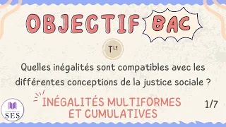 [BAC] Cours Justice Sociale - Inégalités multiformes et cumulatives
