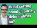 What setting should I put my dehumidifier on