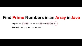 Find Prime Numbers in an Array in Java Java Interview Program