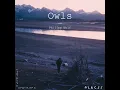Owls (Edit)
