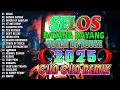 🔓🇵🇭[TOP1] 🎪SELOS👨‍🎤NONSTOP CHA CHA DISCO REMIX 2026🕺BAGONG NONSTOP CHA CHA REMIX 2026🍒