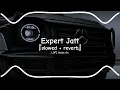 Expert Jatt - Lofi || Slowed and Reverb || Nawab || Mista Baaz || LOFI Mode On