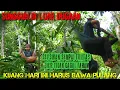 Download Lagu KIJANG YANG INI HARUS DI BAWA PULANG KARENA BANYAK. SAYA HARAP BISA DI MAKLUMI HANYA 1X 1 TAHUN.