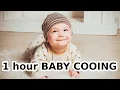 Download Lagu 1 hour BABY COOING sound, COOING BABY noise, noise of HAPPY BABY