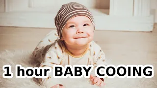 1 Hour BABY COOING Sound COOING BABY Noise Noise Of HAPPY BABY 