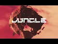 Alok, The Chainsmokers & Mae Stephens - Jungle (Hiago Lopez Remix)