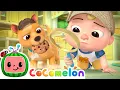 Who Took the Cookie Puppy Song CoComelon Nursery Rhymes Kids Songs