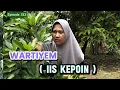 Film pendek orang Sunda||WARTIYEM ( IIS KEPOIN ) Eps.333 #lucu #drama 