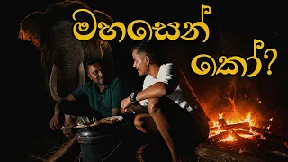 මහසෙන් කෝ ? අජිත් අයියගේ පැලේ රැයක්. පොල් රොටී සමග වැව් මාලුයි පරිප්පුයි. #Habarana
