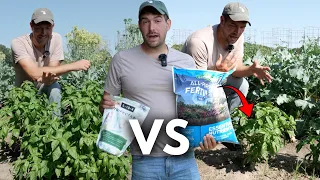 Stop Wasting Money On The Wrong Fertilizer