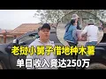 Download Lagu 老挝小舅子借地种木薯，收获季节单日收入竟达250万，收益太可观！#老挝媳妇