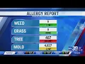 Heavy tree levels in Monday Allergy Report CW39 HOUSTON