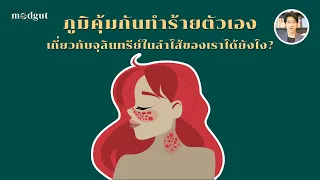 แบคทีเรียในลำไส้ใหญ่มีบทบาทอย่างไรต่อระบบภูมิคุ้มกัน