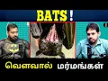 Are Bats Dangerous? 🦇 - Tamil Podcast | Paari Saalan | Vallal Media | Varun Talks