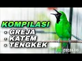 Download Lagu CUCAK IJO GACOR KOMPILASI ISIAN GREJA TARUNG - KAPAS TEMBAK - TENGKEK UDANG COCOK BUAT MASTERAN