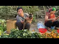 Lagu The man harvested vegetables and took them to the market, while his pets waited patiently at home.
