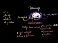 Thalamus hypothalamus and limbic system Neural control and coordination Biology Khan Academy