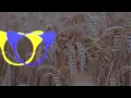 Арсен Мірзоян Джеральдіна